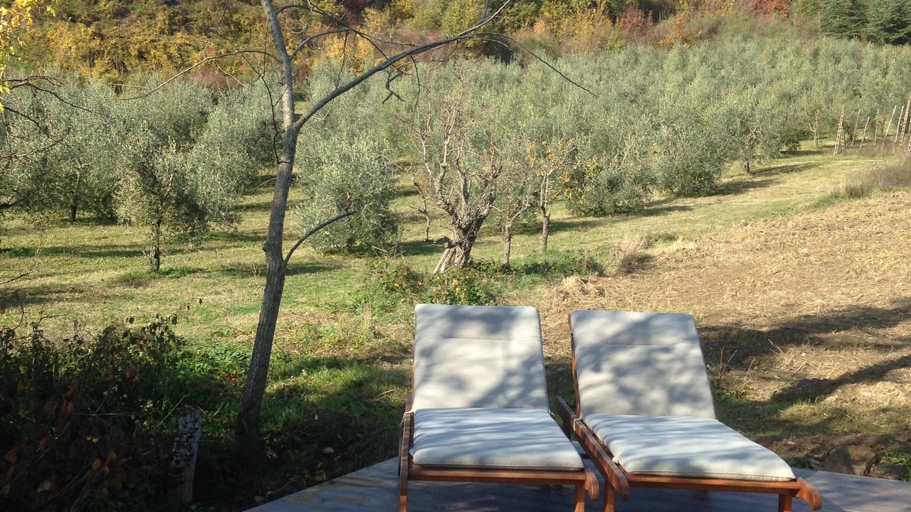 Photo of Outdoor in Monte Santa Maria Tiberina