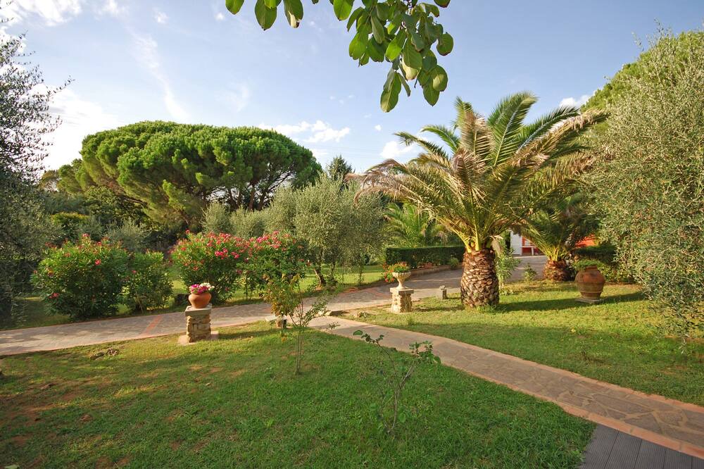 Photo of Outdoor in Scarlino