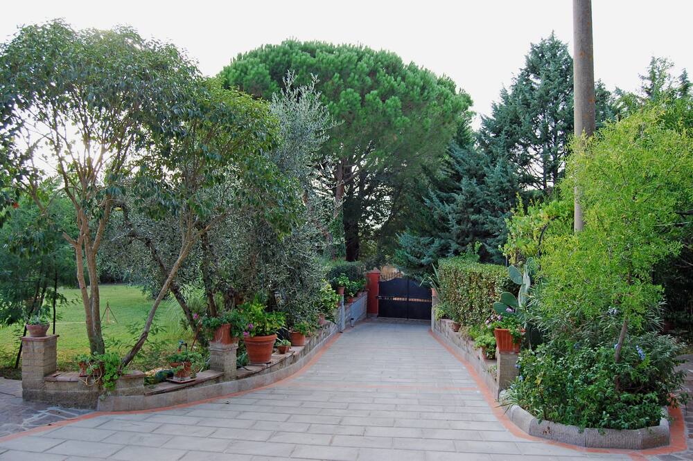 Photo of Outdoor in Scarlino