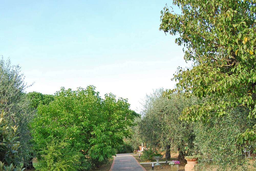 Photo of Outdoor in Scarlino