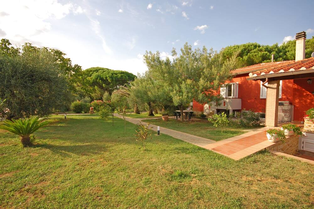 Photo of Outdoor in Scarlino