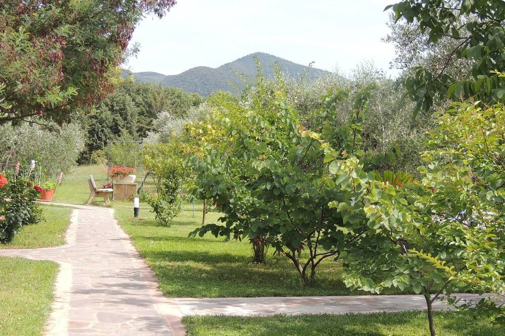 Photo of Outdoor in Scarlino