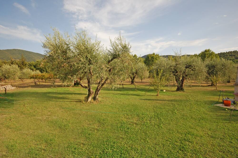 Photo of Outdoor in Scarlino