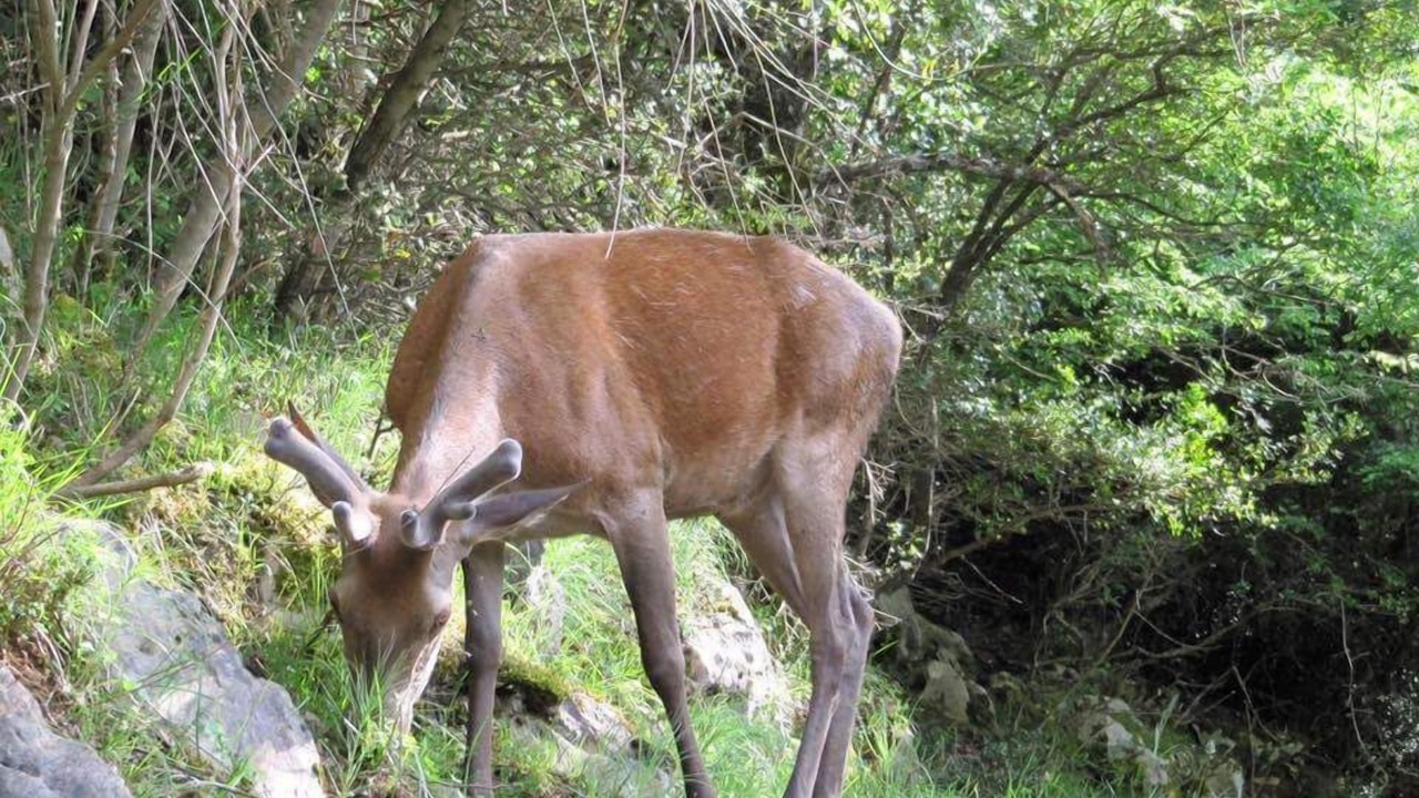 Photo of Others in Noepoli