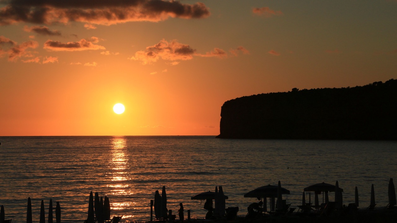 Photo of Others in Praia a Mare