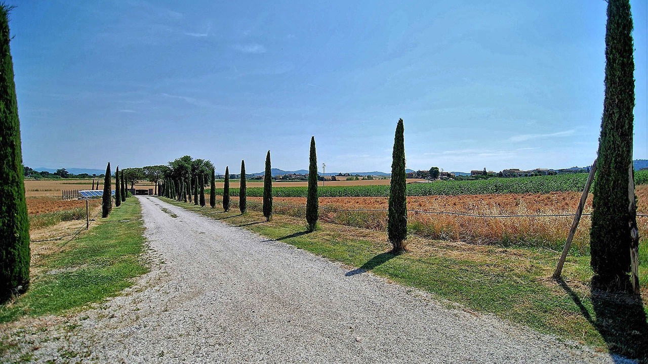 Photo of Outdoor in Paciano