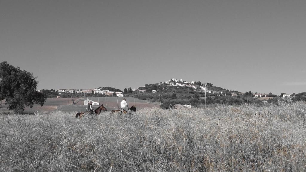 Photo of Outdoor in Candela