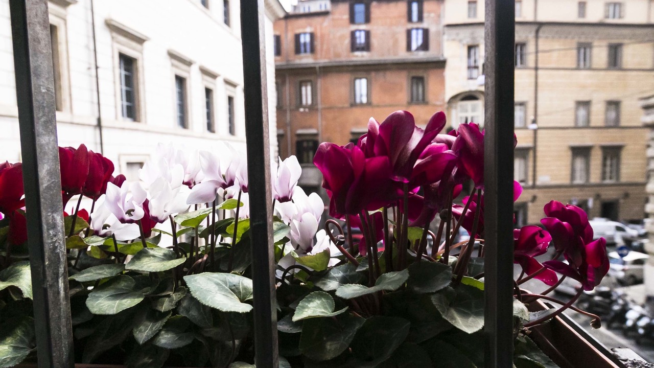 Photo of Bedroom in Roman Ghetto
