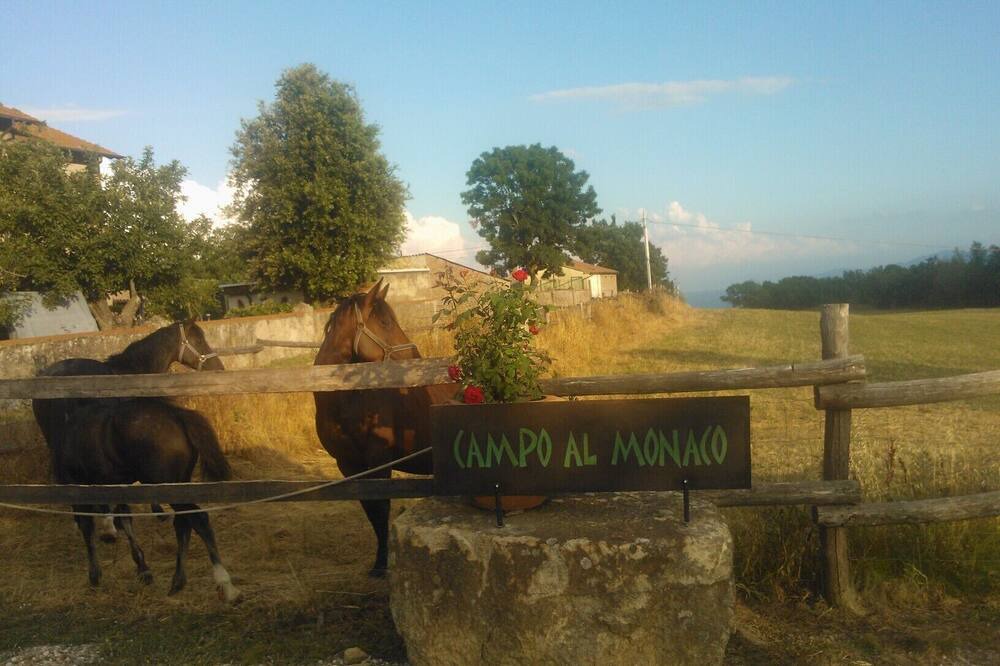 Photo of Others in Sassofortino