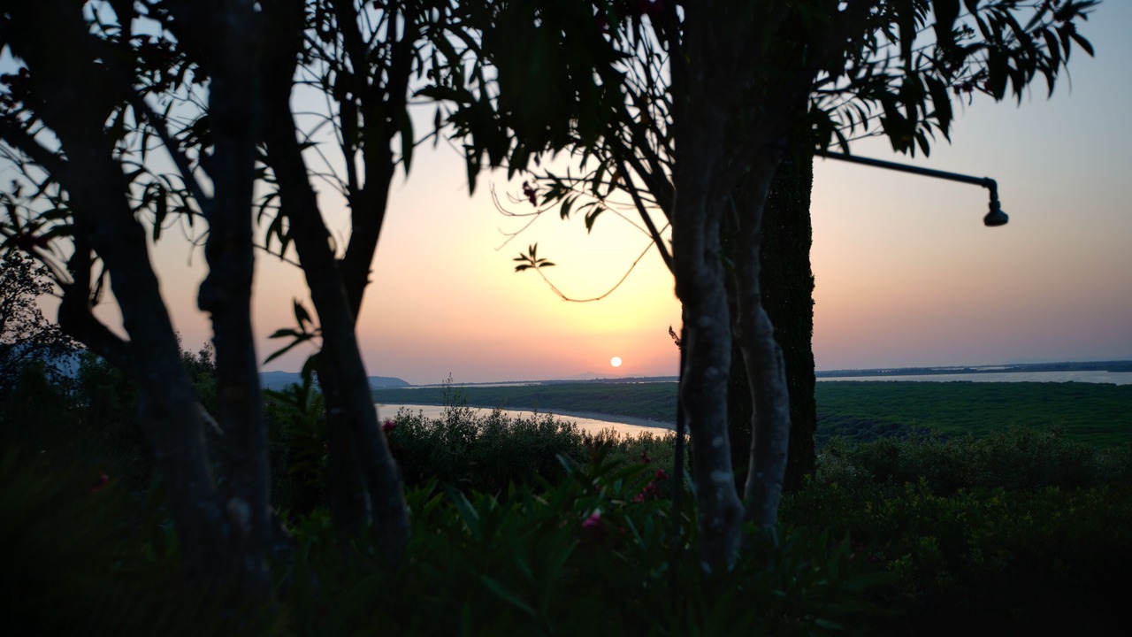 Photo of Others in Ansedonia