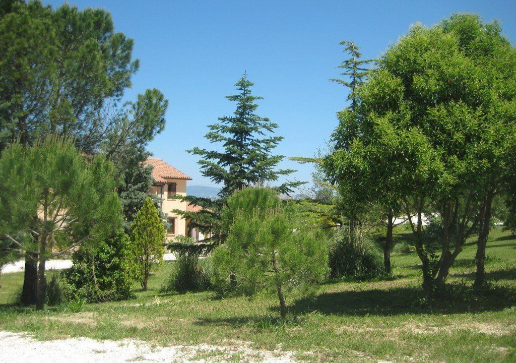 Photo of Outdoor in Recanati
