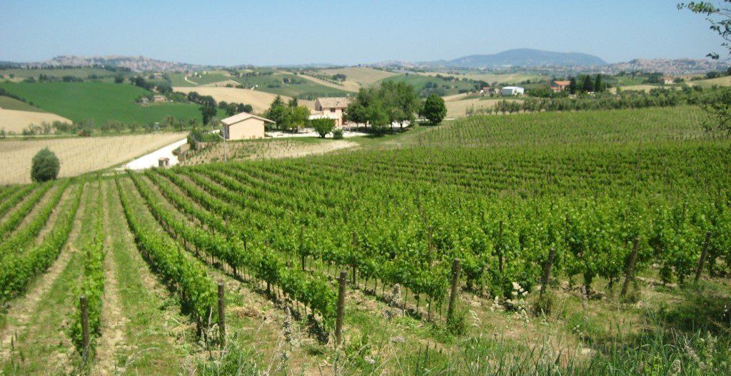 Photo of Outdoor in Recanati