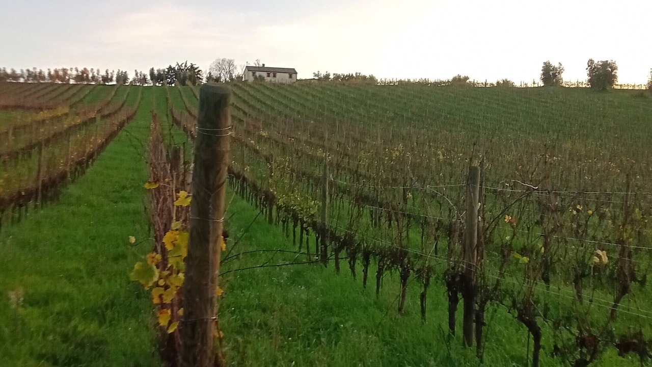 Photo of Outdoor in Recanati