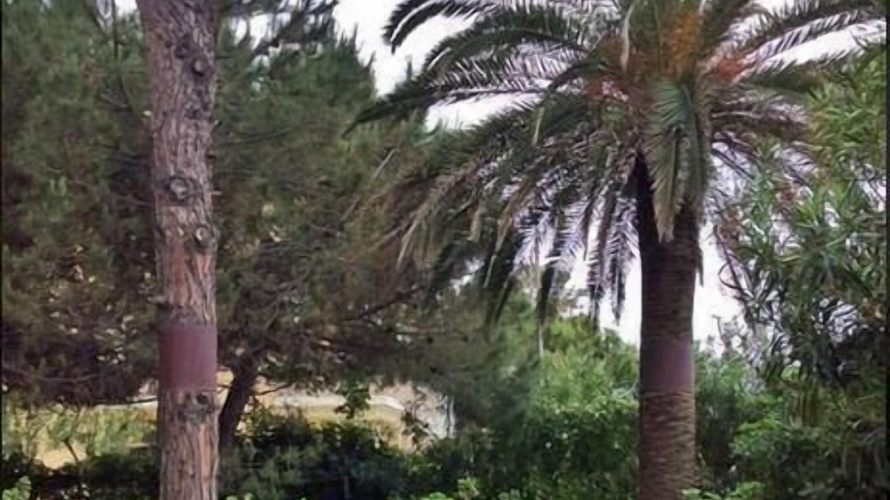 Photo of Outdoor in Tortoreto Lido