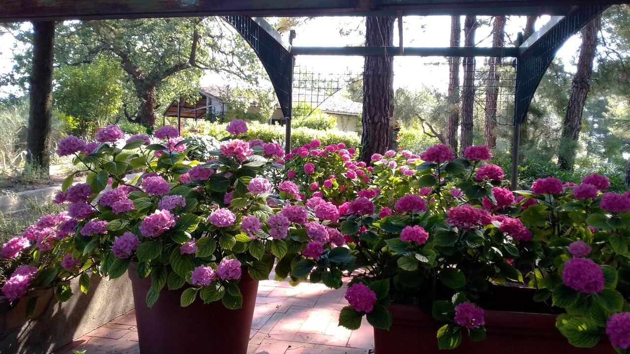 Photo of Outdoor in Chieti