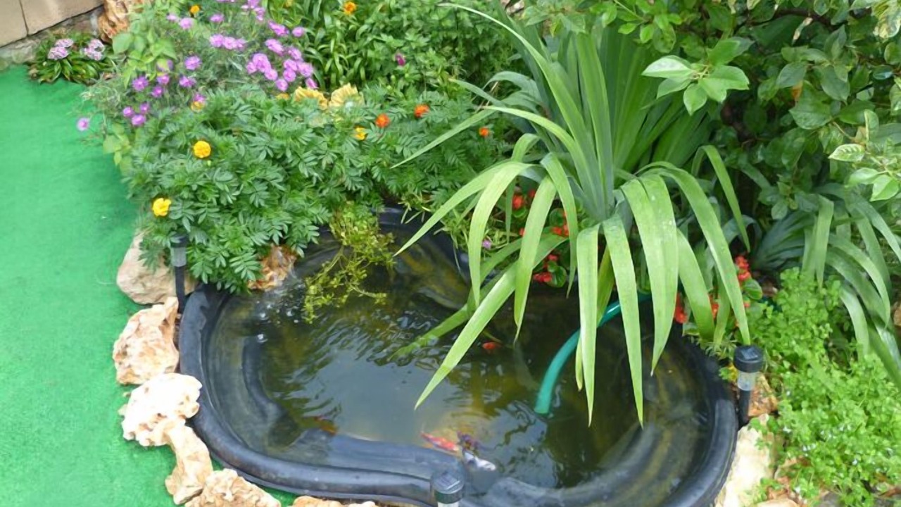 Photo of Outdoor in Gualdo Tadino