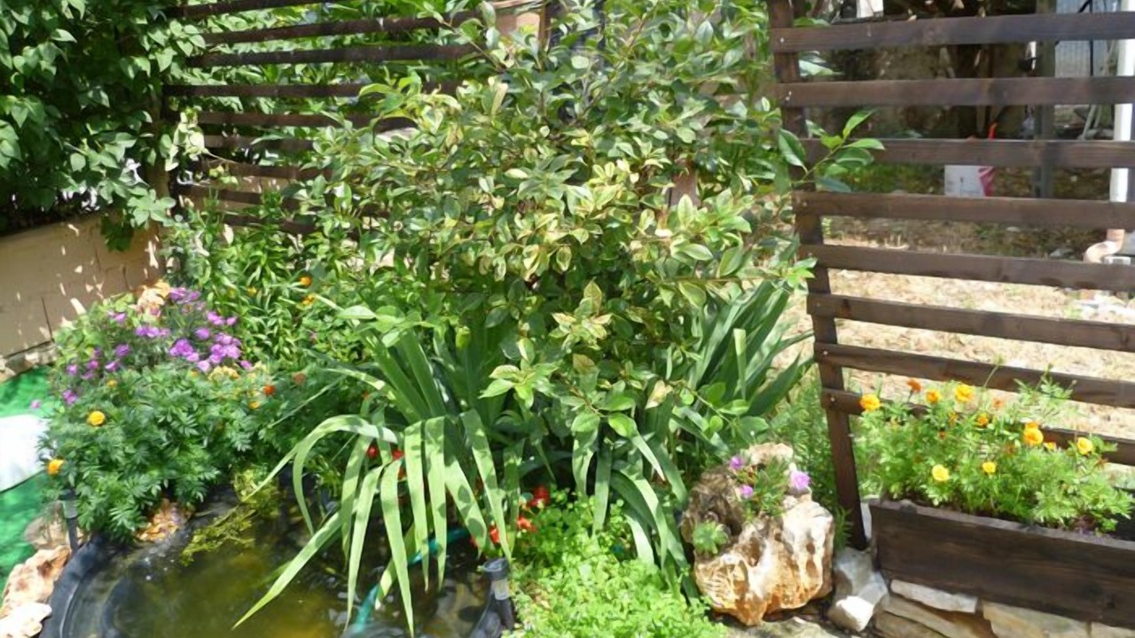 Photo of Outdoor in Gualdo Tadino