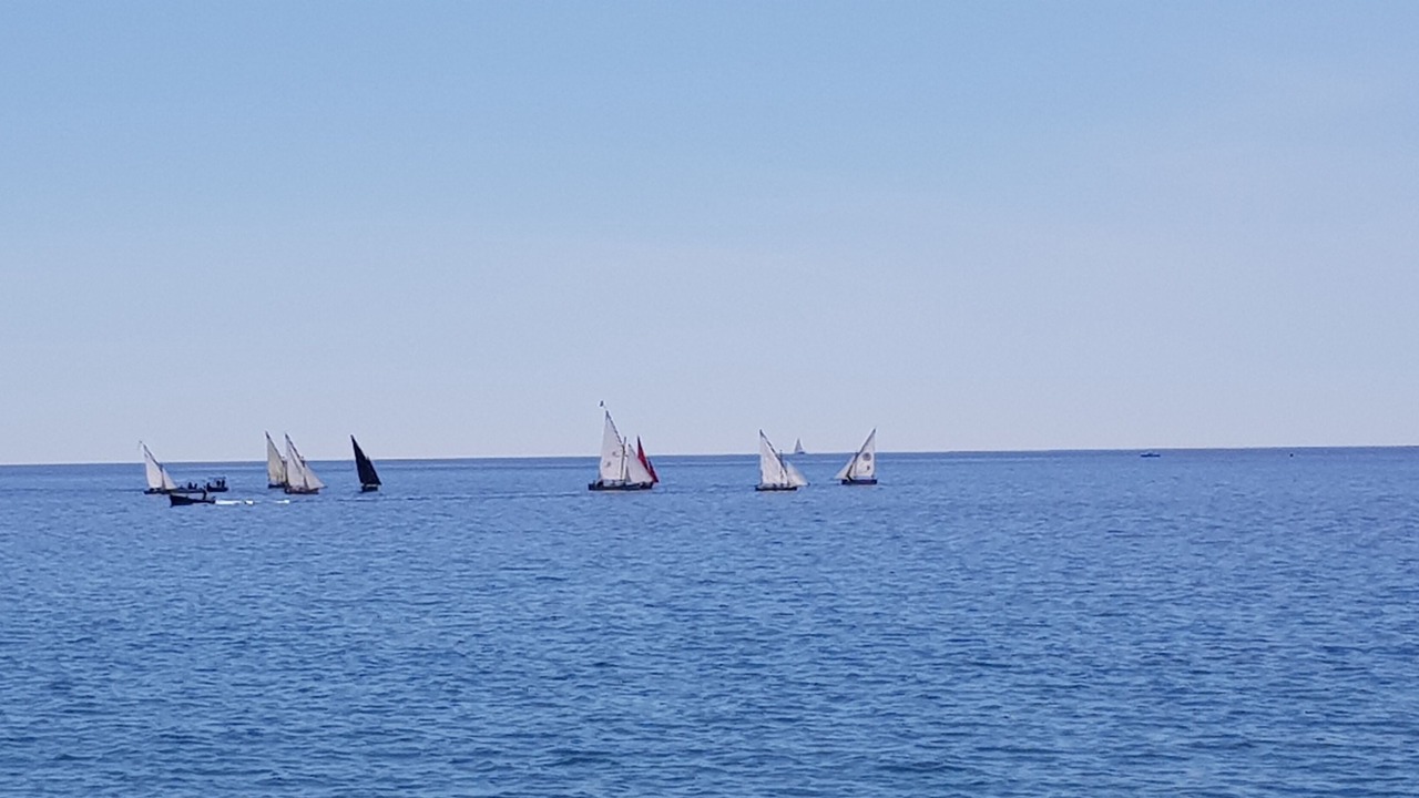 Photo of Others in Marina Lido