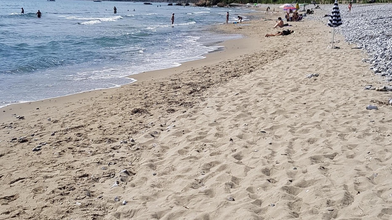 Photo of Others in Marina Lido
