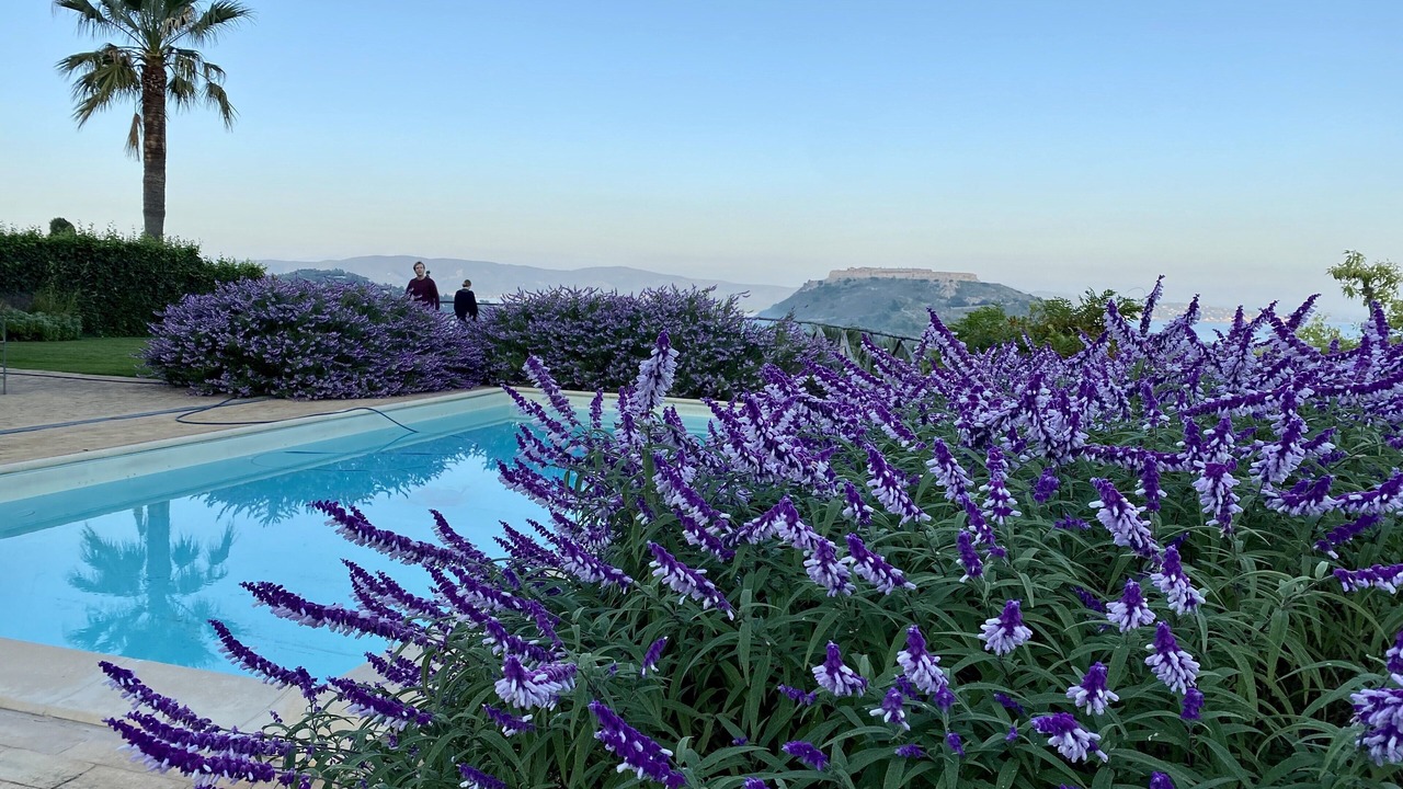 Photo of Outdoor in Porto Ercole