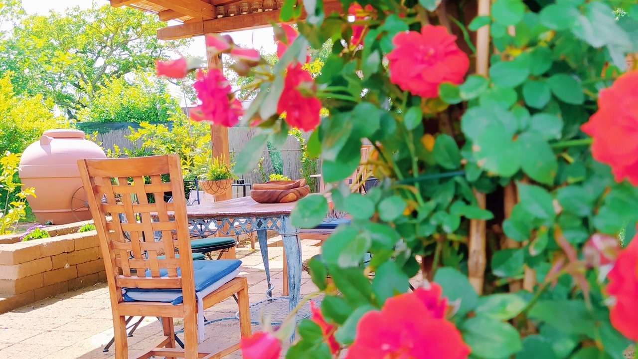Photo of Outdoor in Scansano