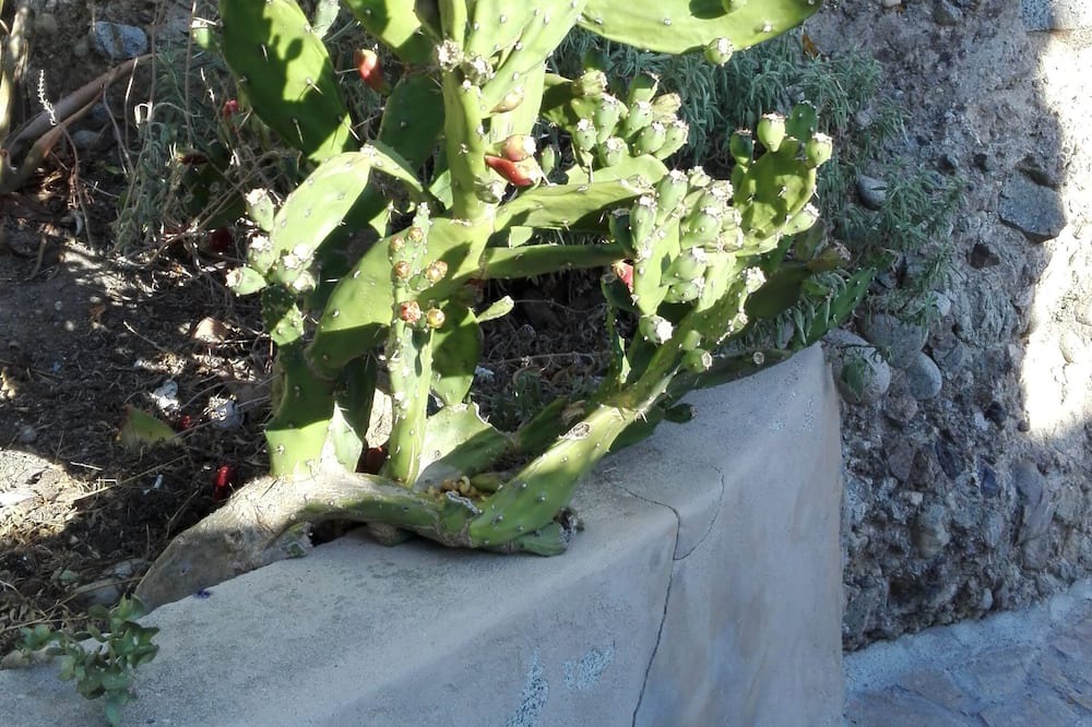 Photo of Outdoor in Pentedattilo