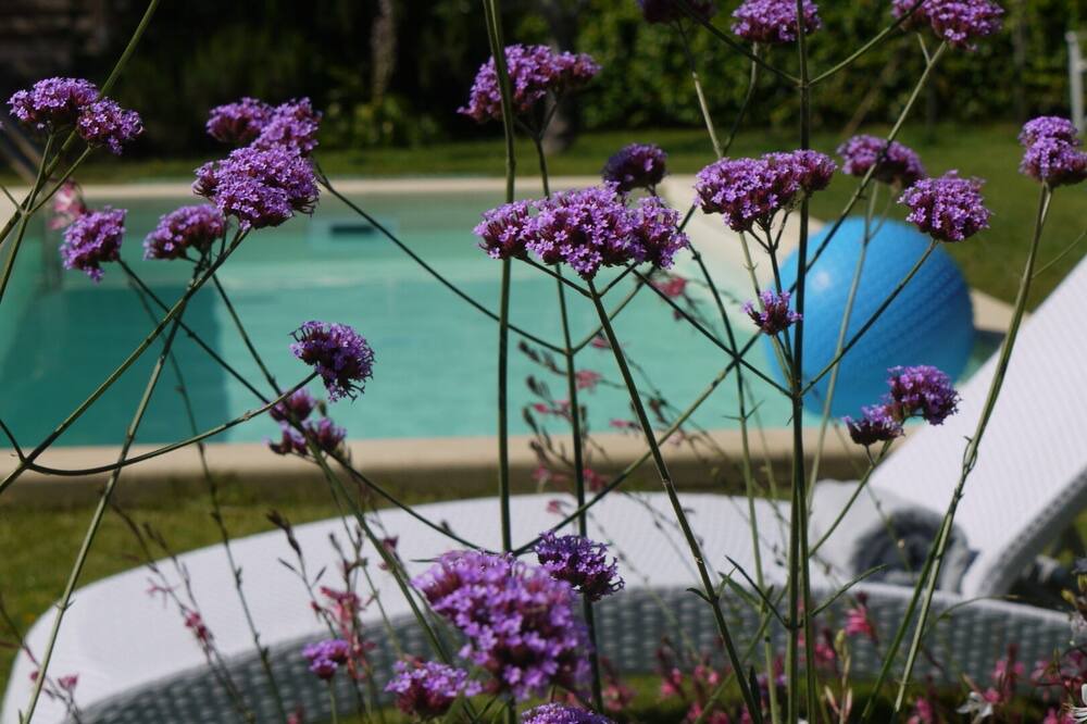 Photo of Outdoor in Fonte Blanda