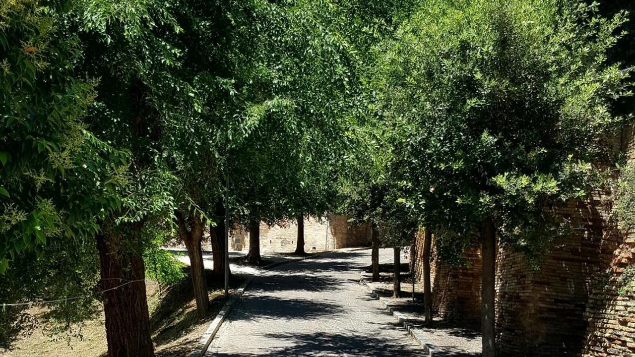 Photo of Outdoor in Loreto Aprutino