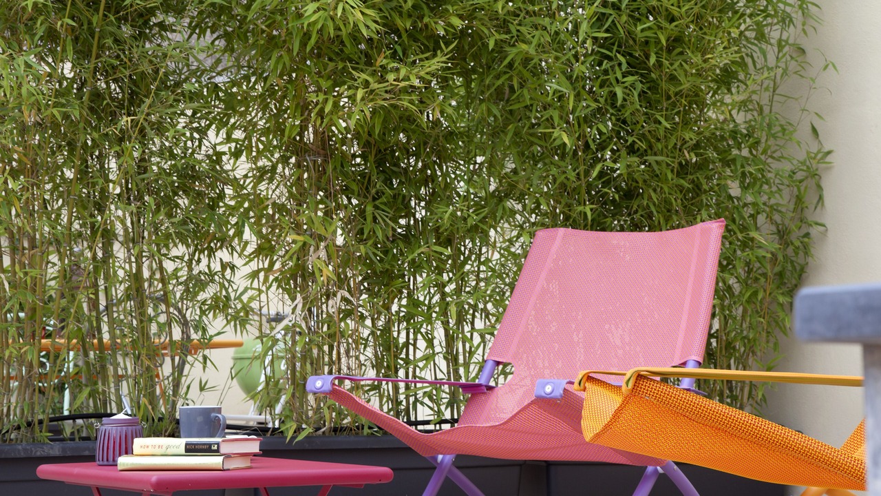 Photo of Outdoor in Naples City Centre