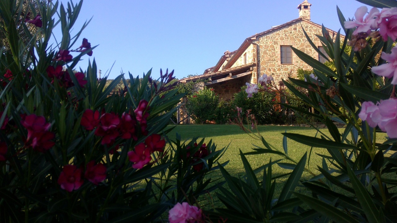 Photo of Outdoor in Casalini