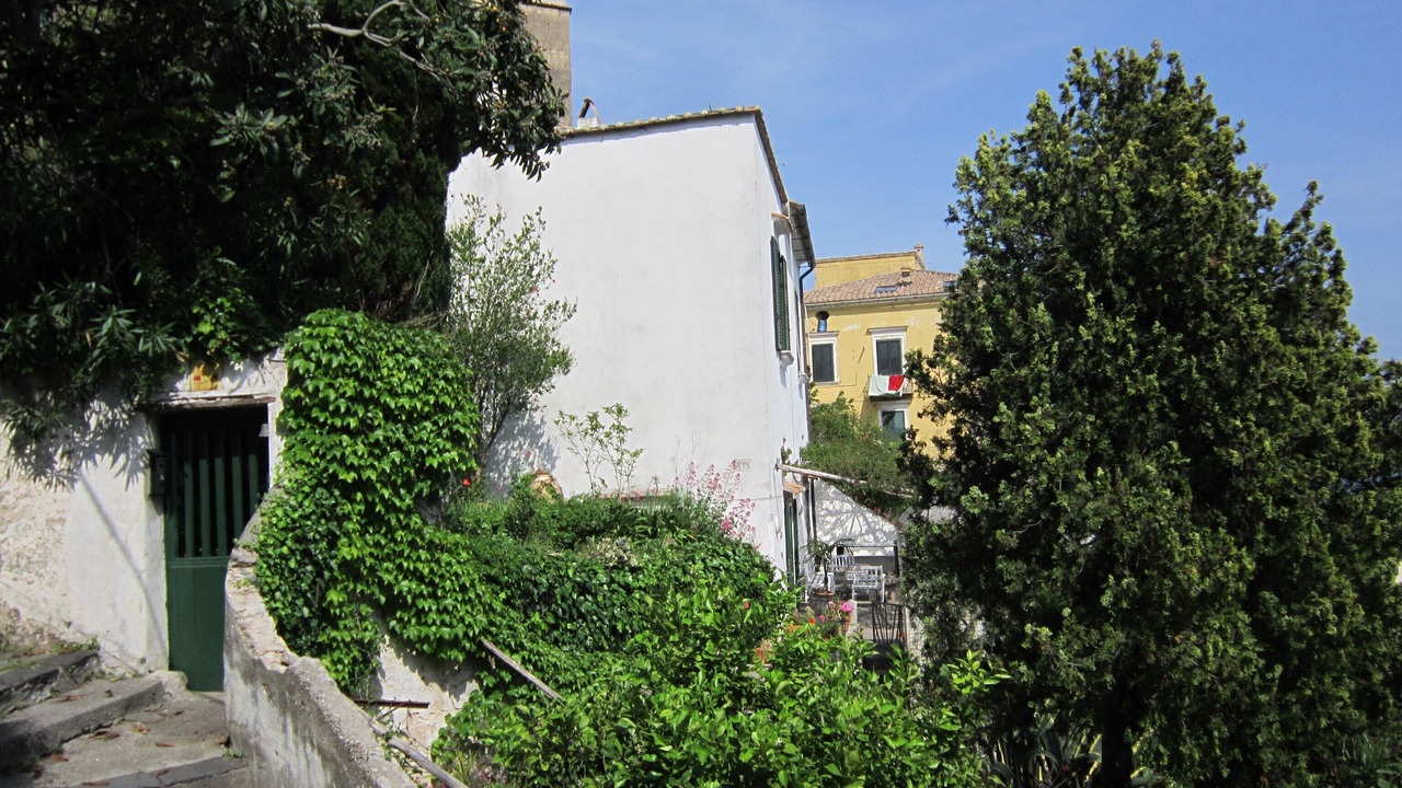 Photo of Outdoor in Raito
