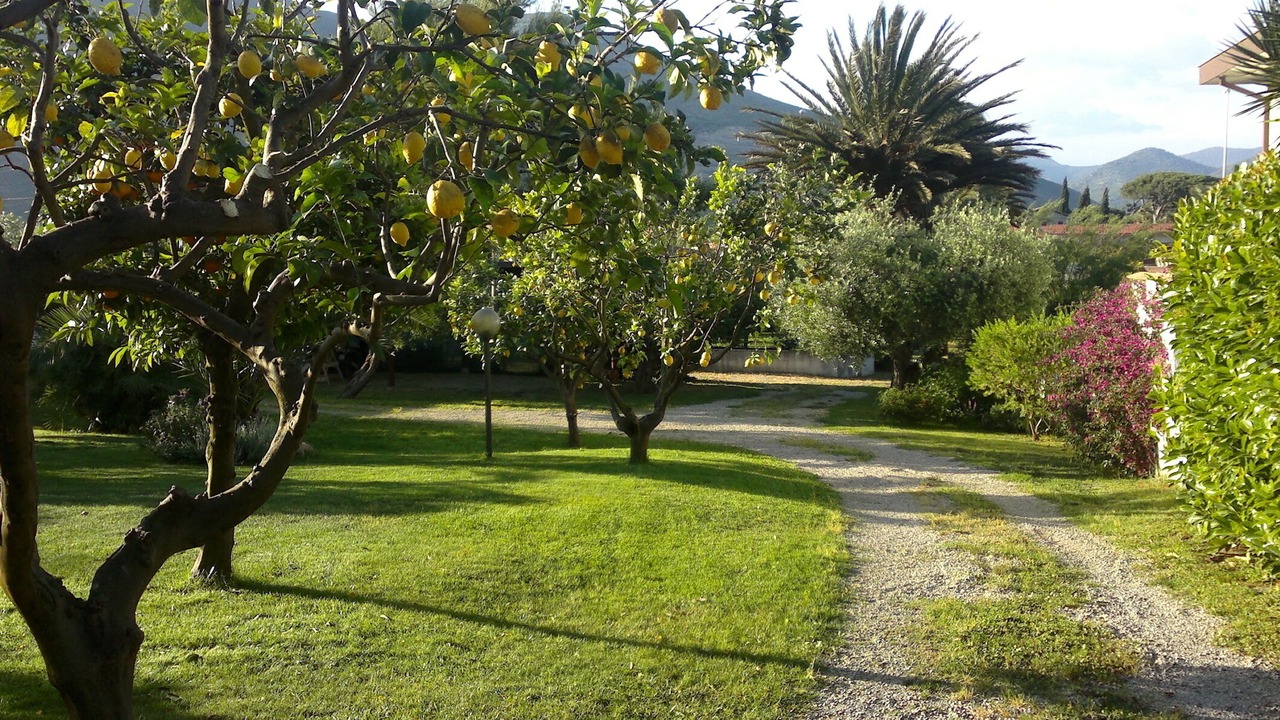 Photo of Outdoor in Latina Lido
