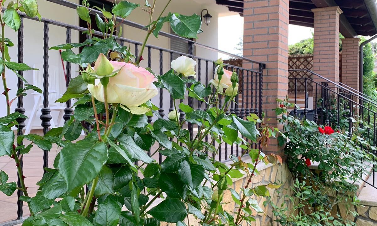 Photo of Outdoor in Latina Lido