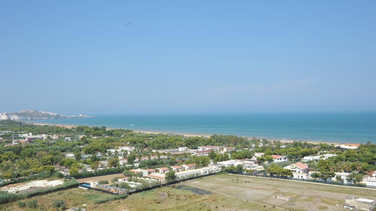 Photo of Others in Vieste