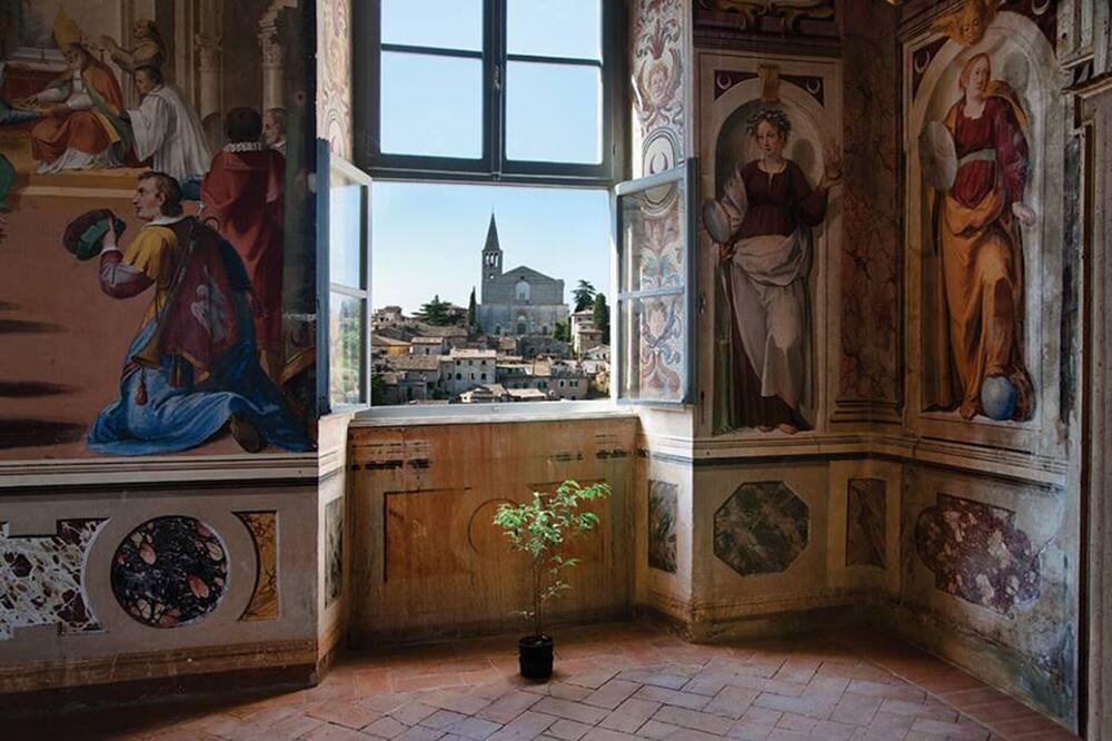 Photo of Others in Todi