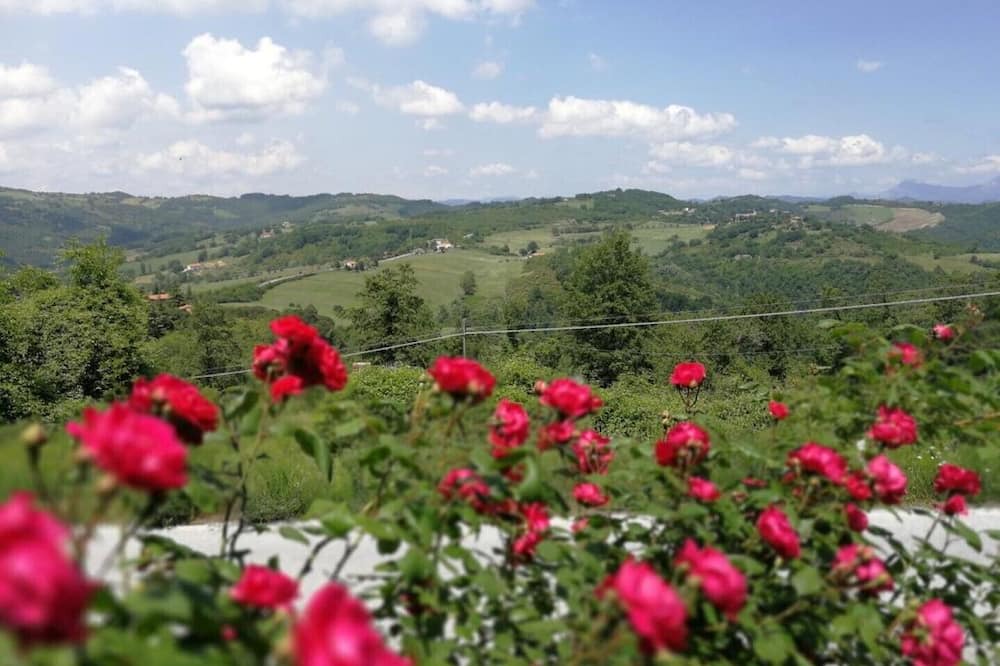 Photo of Outdoor in Monteluiano