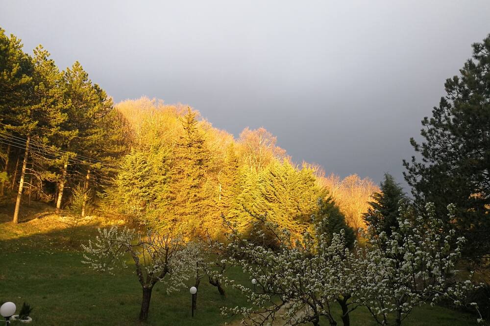 Photo of Outdoor in Monteluiano