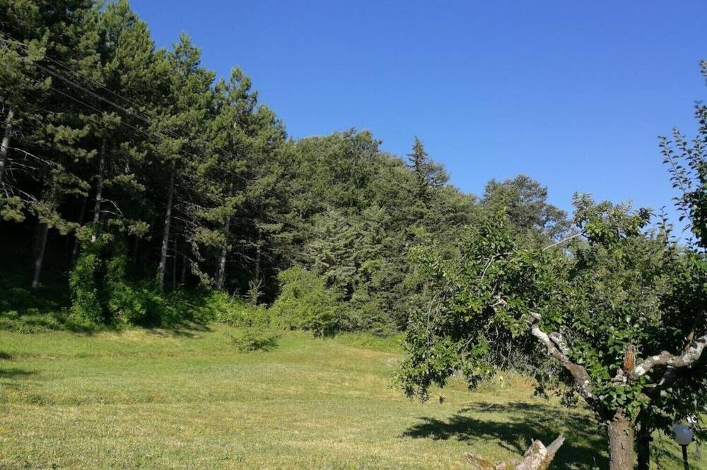 Photo of Outdoor in Monteluiano