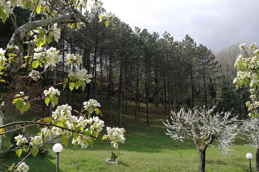Photo of Outdoor in Monteluiano