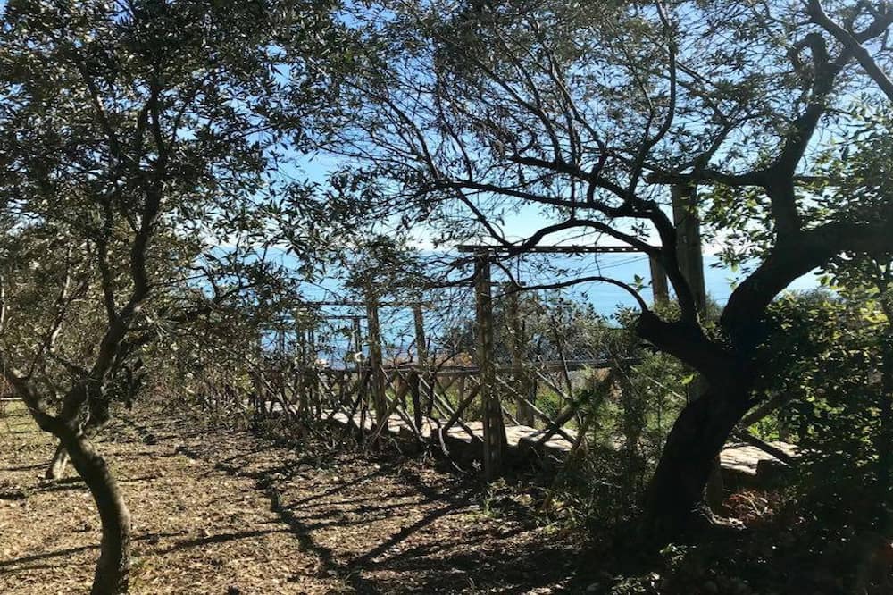Photo of Outdoor in Vasto