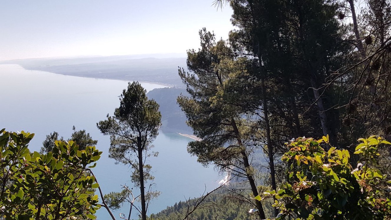 Photo of Outdoor in Loreto