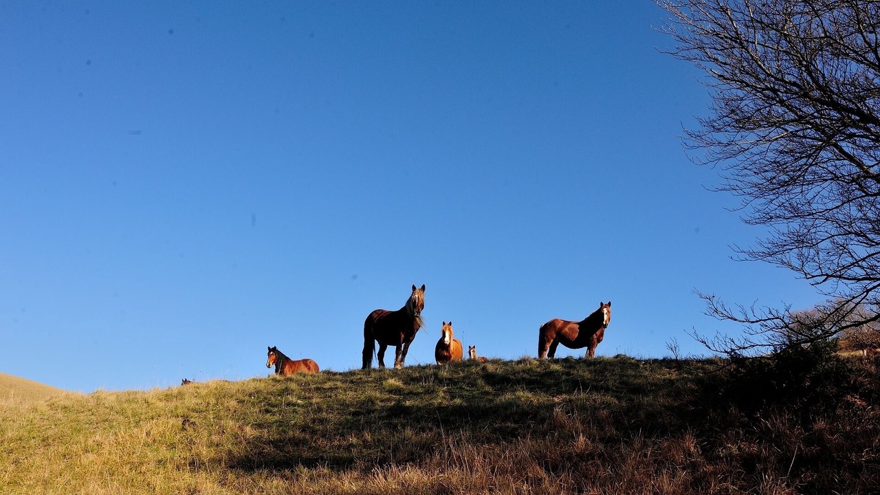 Photo of Outdoor in Nocera Umbra