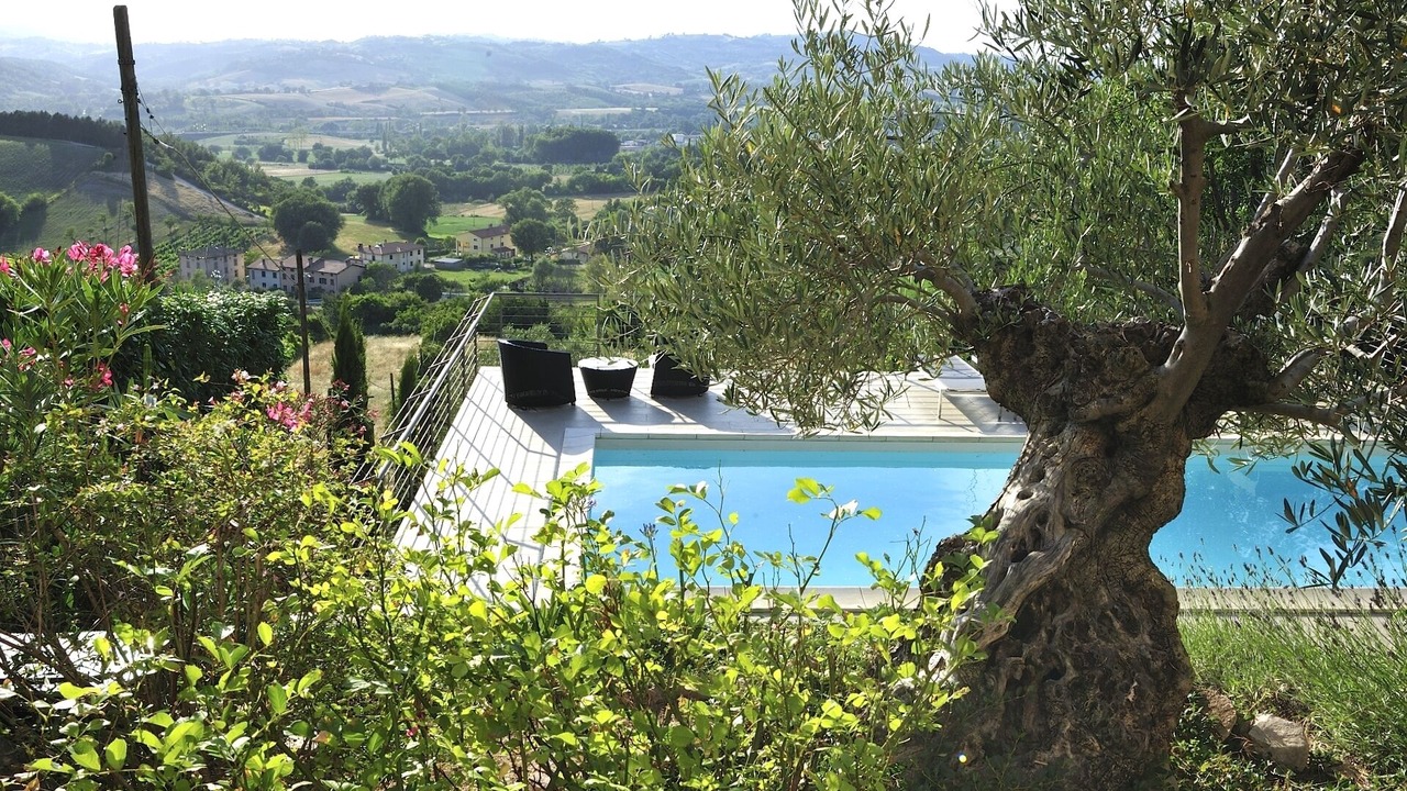 Photo of Outdoor in Nocera Umbra