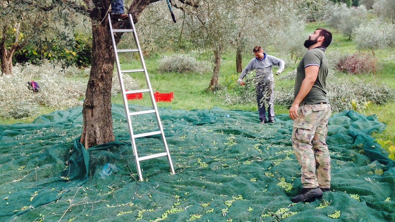 Photo of Outdoor in Nocera Umbra