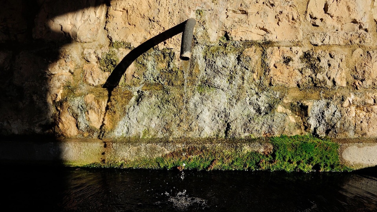 Photo of Others in Nocera Umbra