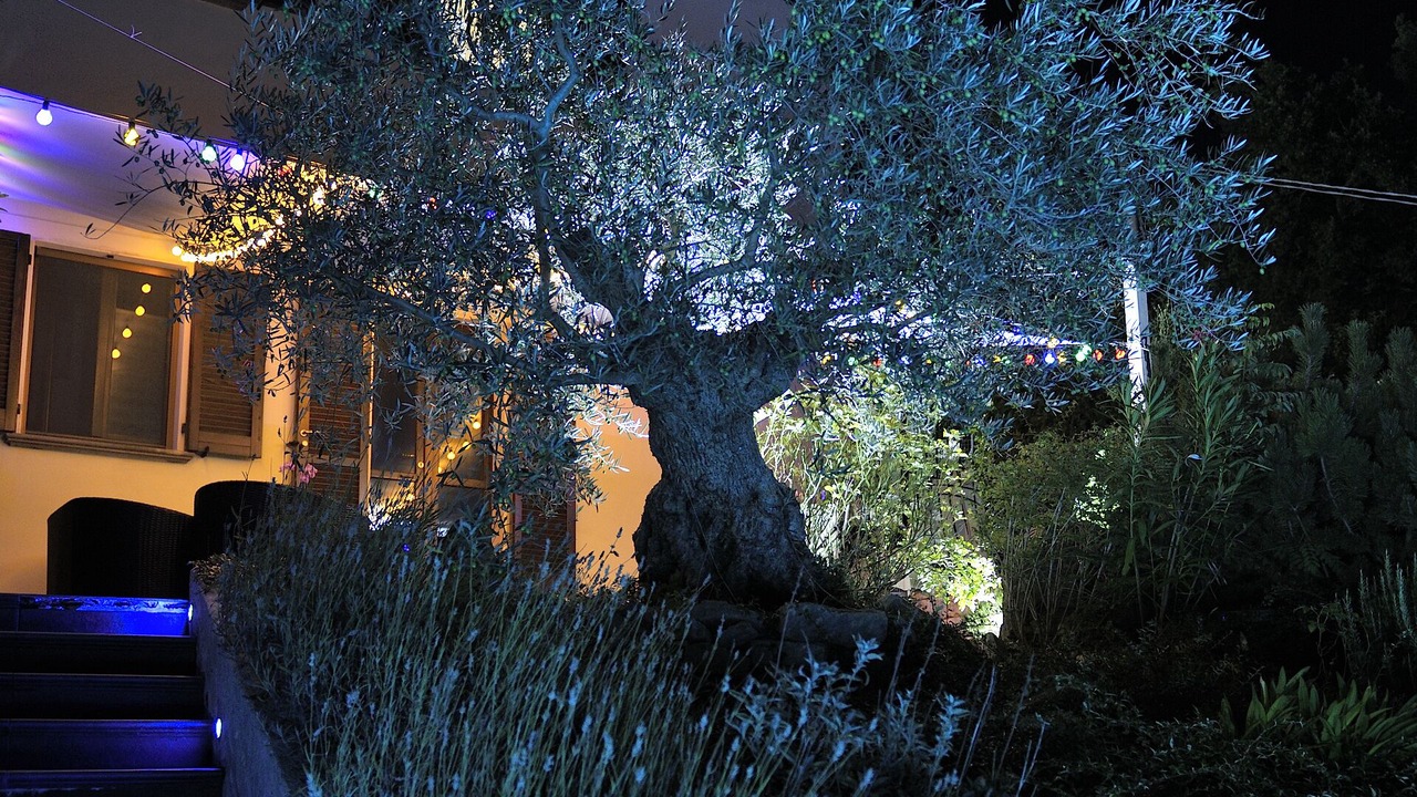 Photo of Outdoor in Nocera Umbra