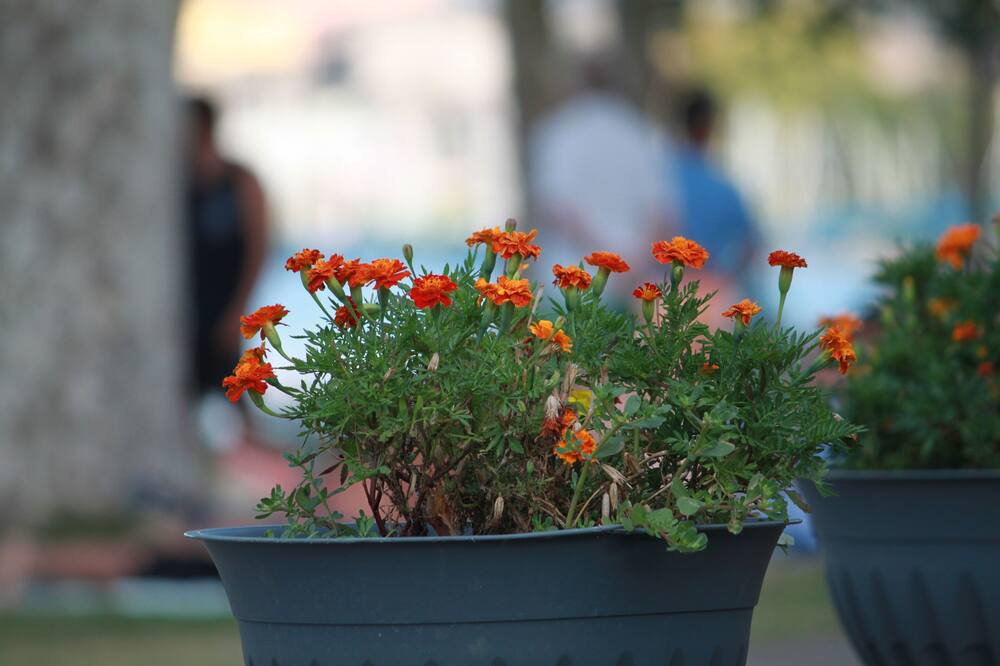 Photo of Outdoor in Marta