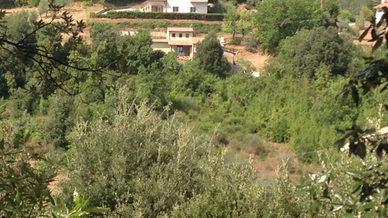 Photo of Outdoor in Amelia