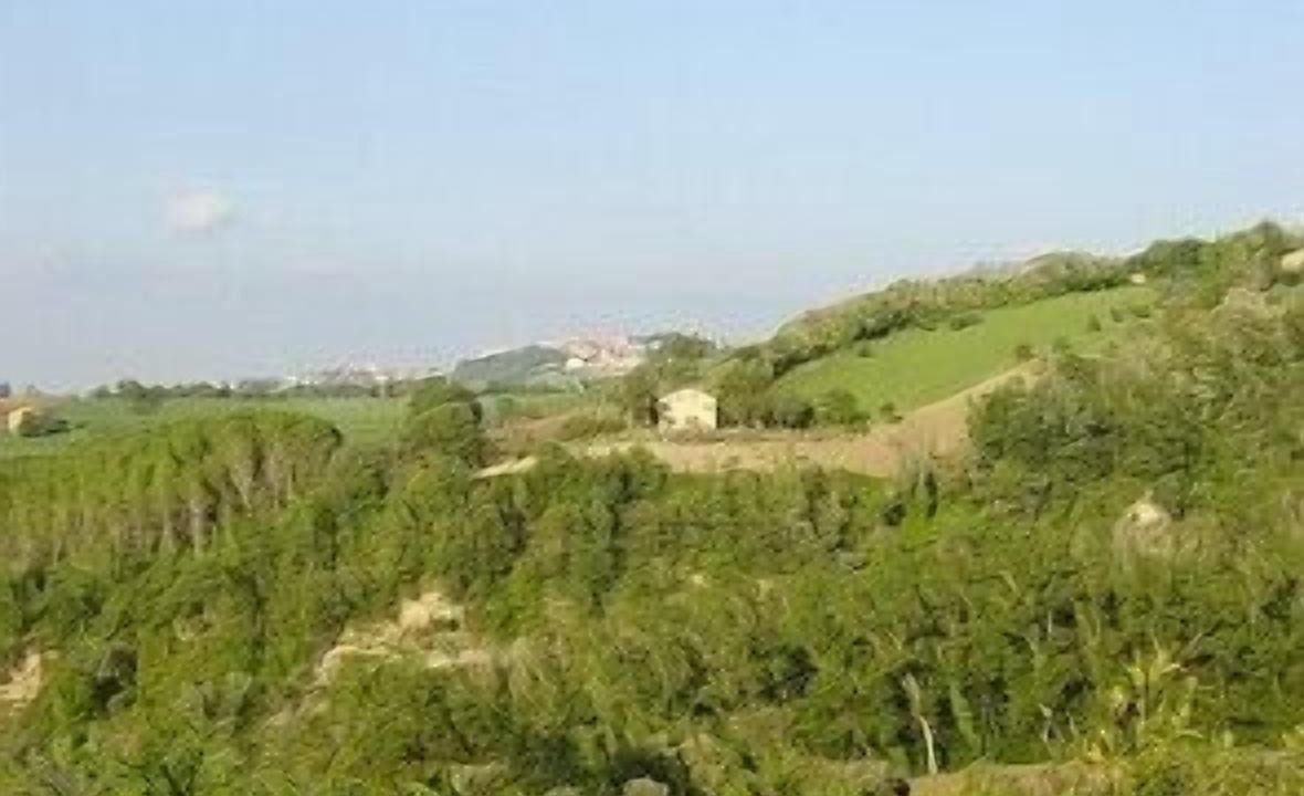 Photo of Others in Monte Vidon Corrado