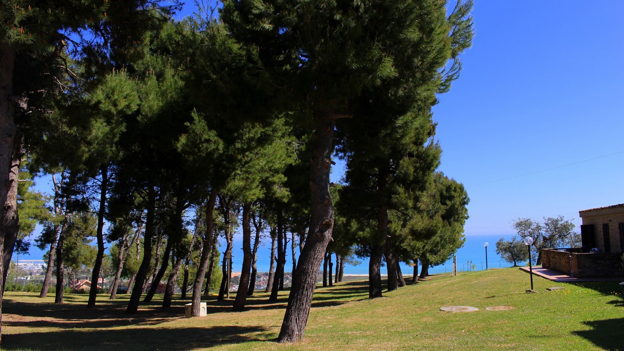 Photo of Outdoor in Fermo